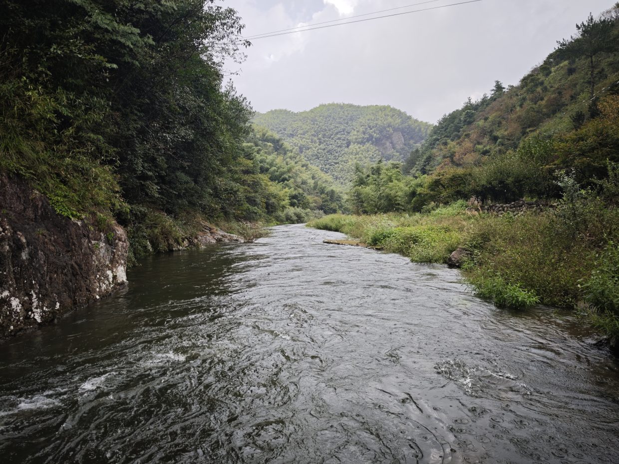 跨语言任务队列代码实战:Spring Boot + RabbitMQ + Celery 全链路打通