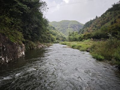 跨语言任务队列代码实战：Spring Boot + RabbitMQ + Celery 全链路打通