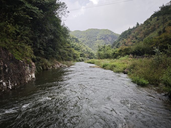 跨语言任务队列代码实战：Spring Boot + RabbitMQ + Celery 全链路打通