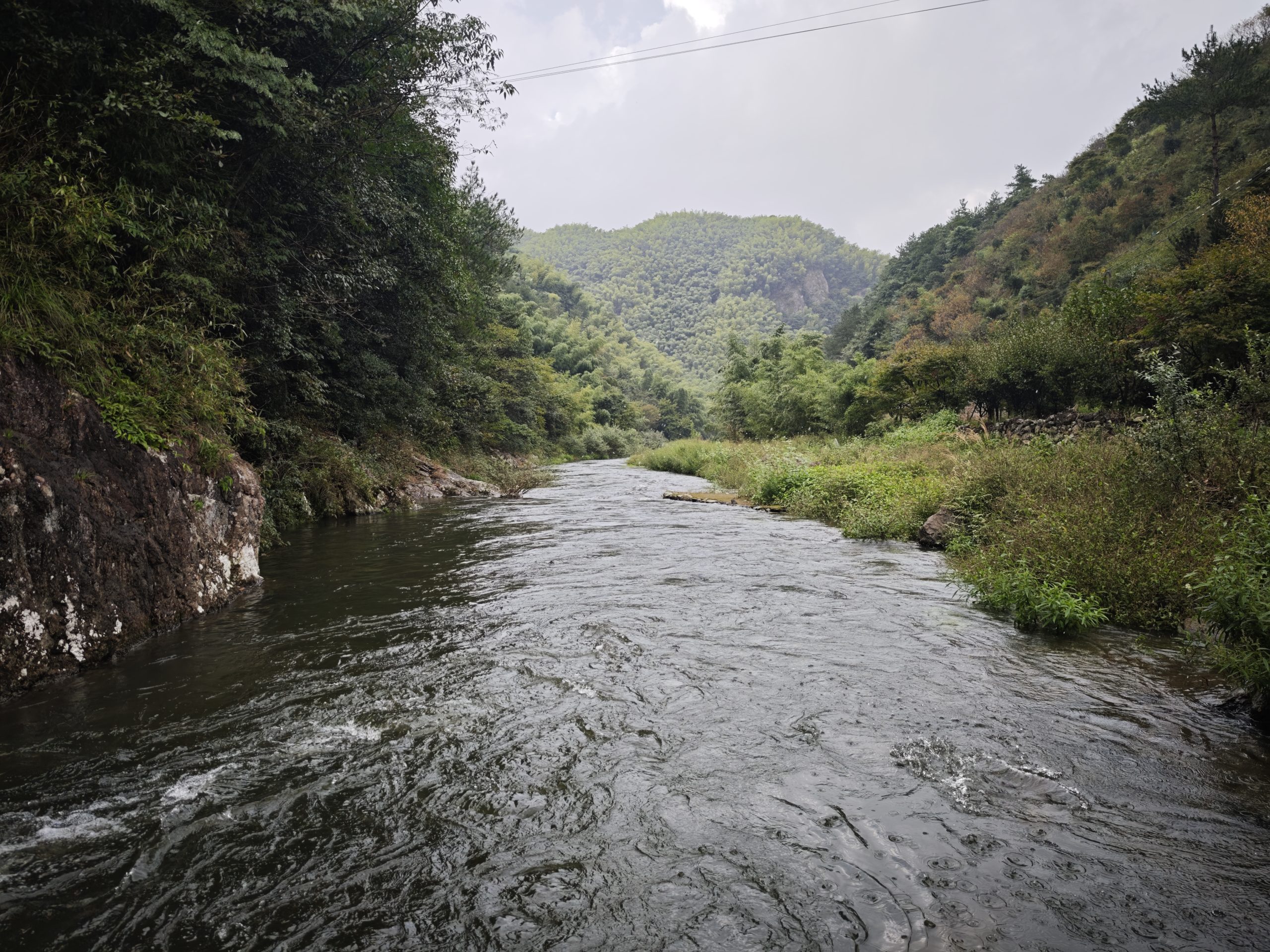 跨语言任务队列代码实战：Spring Boot + RabbitMQ + Celery 全链路打通