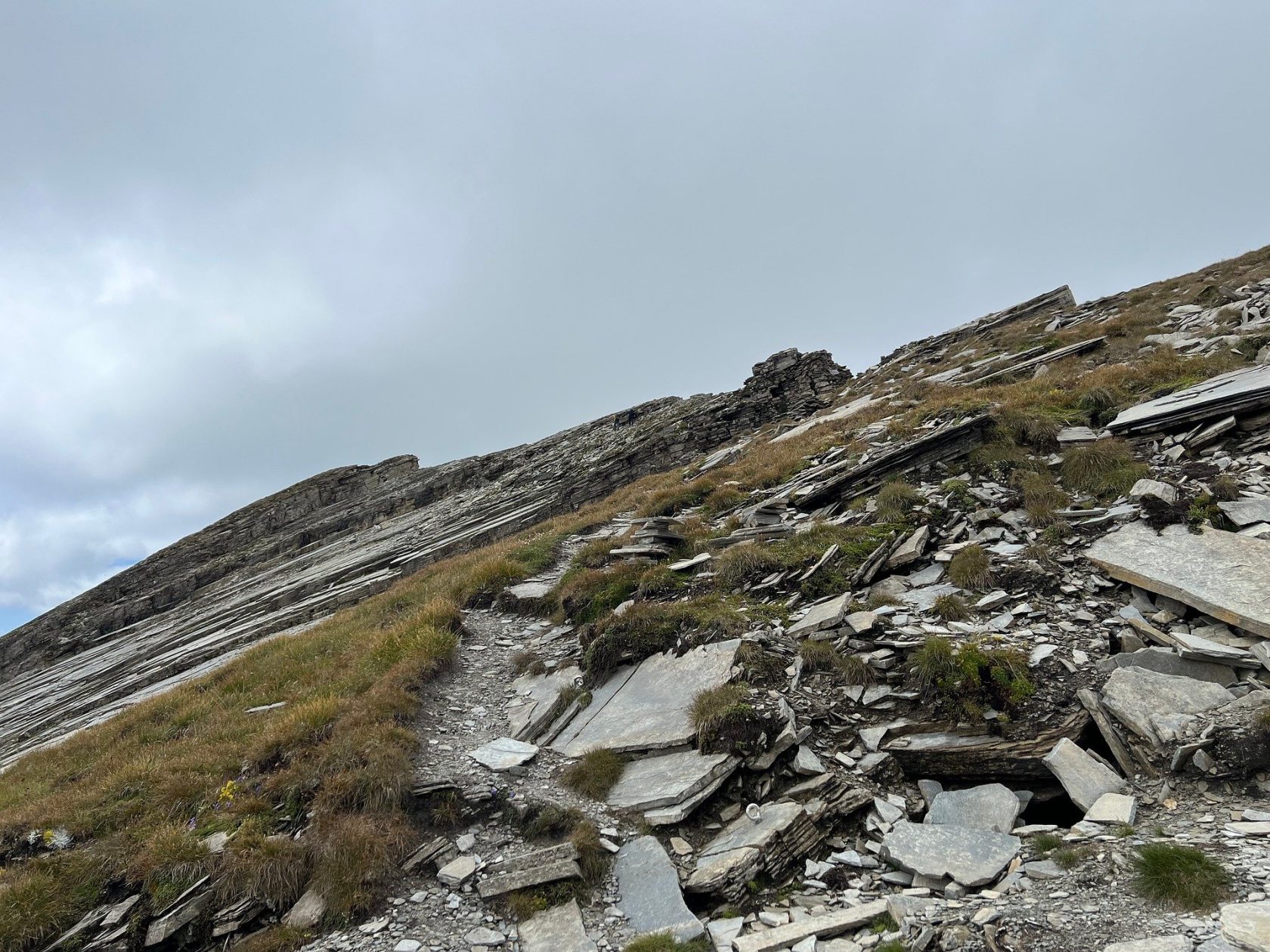 ZFS Mirror vs mdadm RAID1：Linux 双盘镜像搭建、故障演练与性能实测