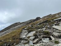 ZFS Mirror vs mdadm RAID1：Linux 双盘镜像搭建、故障演练与性能实测