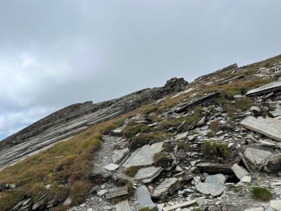 ZFS Mirror vs mdadm RAID1：Linux 双盘镜像搭建、故障演练与性能实测