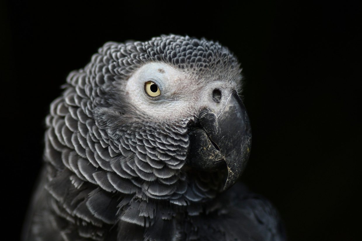 K8s 常用命令手记