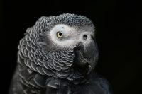 K8s 常用命令手记