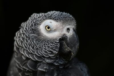 K8s 常用命令手记