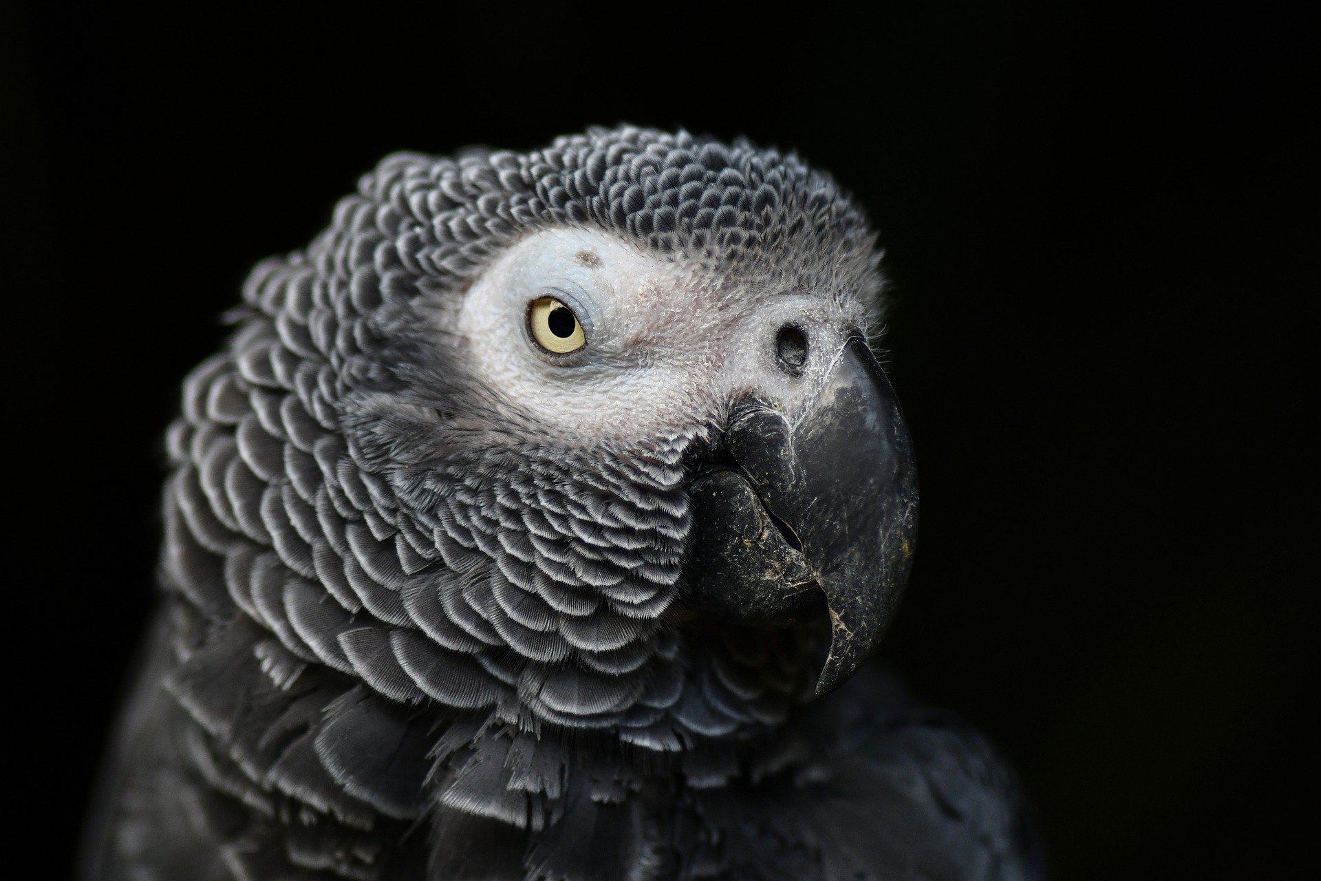 K8s 常用命令手记