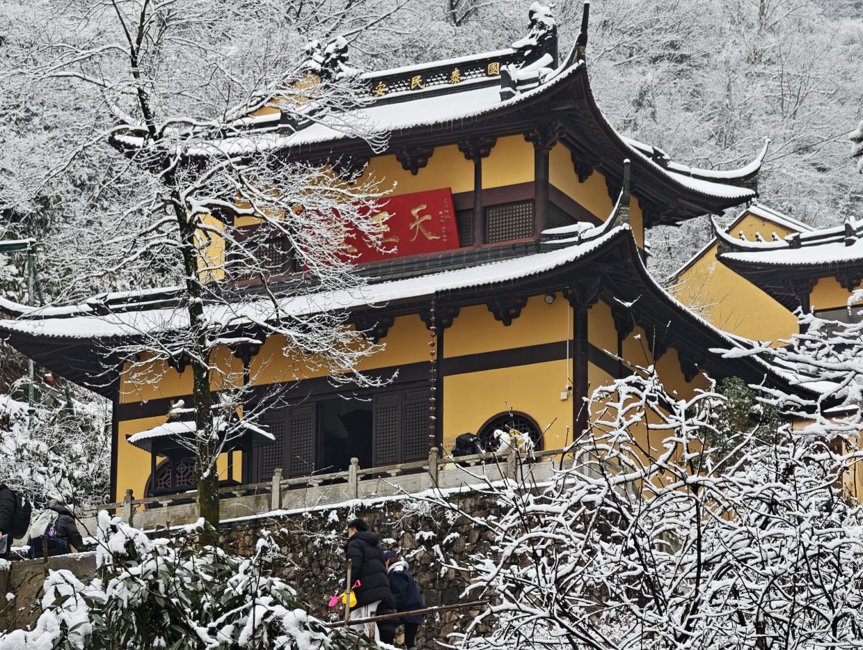 PVE制作Windows11镜像模板