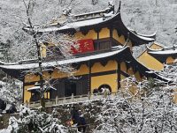 PVE制作Windows11镜像模板