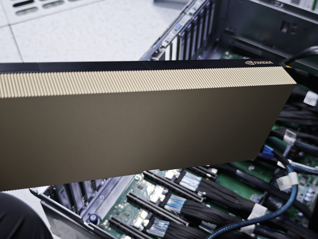 PVE 直通 RTX 6000D 大显存算力卡硬核排障实录