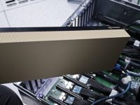 PVE 直通 RTX 6000D 大显存算力卡硬核排障实录